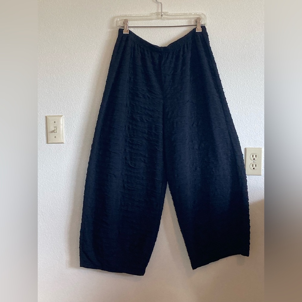 Cut Loose Wide Leg Cropped Pant